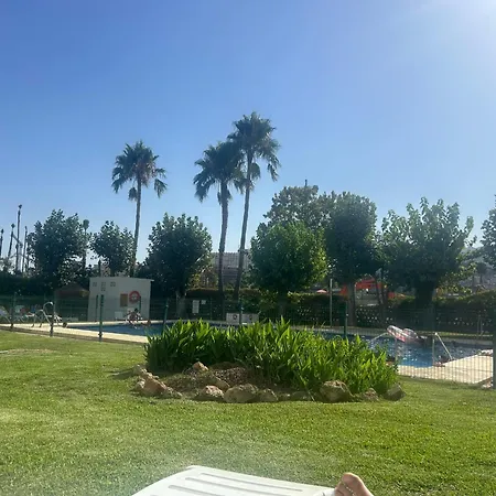 Alamos 305 * توريمولينوس